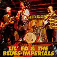 Chicken, Gravy And Biscuits — Lil' Ed & The Blues Imperials
