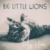 Big Little Lions