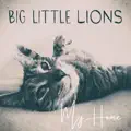 Big Little Lions