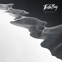 Say My Name — Tesla Boy