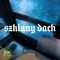 SZKLANY DACH artwork