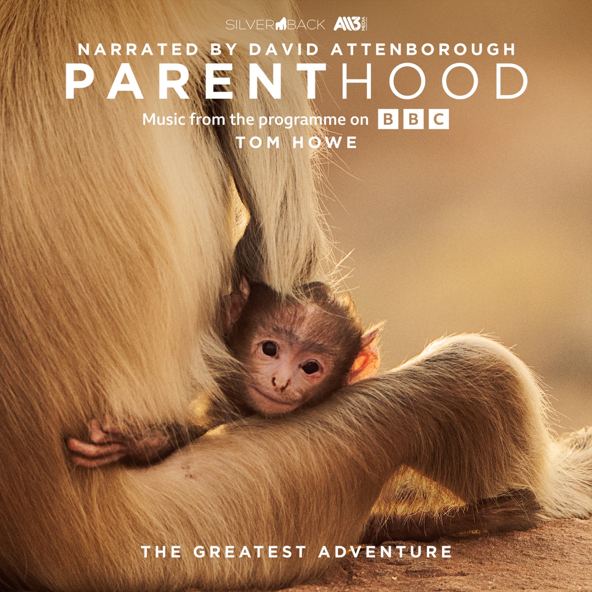 Tom Howe - Parenthood: The Greatest Adventure (Music From The Programme On BBC) (2025) [iTunes Plus AAC M4A]-新房子