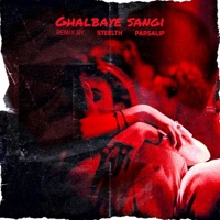 Ghalbaye sangi (feat. Parsalip) [Special Version] - Single - Steelth