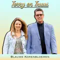 Blauwe Korenbloemen