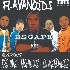 Escape (feat. Righteous, Krs One & Dj Mercilless) Flavonoids
