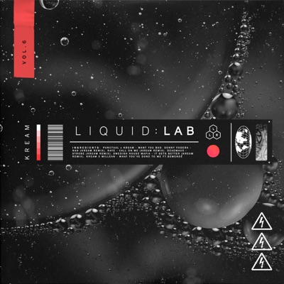 LIQUID: LAB, Vol. 6 (DJ Mix)
