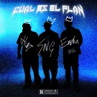 Cuál Es El Plan (feat. Emeka_4k & Hopesick) - Single - Sangucho