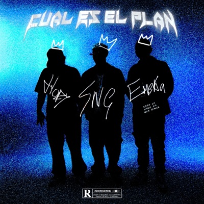 Cuál Es El Plan (feat. Emeka_4k & Hopesick) - Single