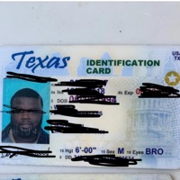 Face Card - Single - Macho Dame