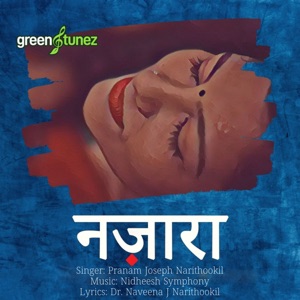 Nazara (feat. Nidheesh Symphony & Dr. Naveena J Narithookil) [Hindi]