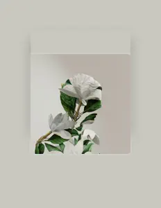 Listen to Justin Silber, watch music videos, read bio, see tour dates & more!