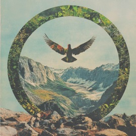 Peace Weedthief