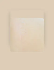 收听 MOTHER、观看音乐视频、阅读小传、查看巡演日期等 ！