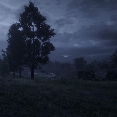 my favorite tree (feat. gothbrydes) - Single