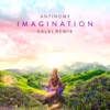 Imagination (Kalki remix) - Single