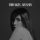 Bırakın Arasın artwork