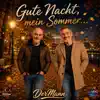 Gute Nacht, mein Sommer