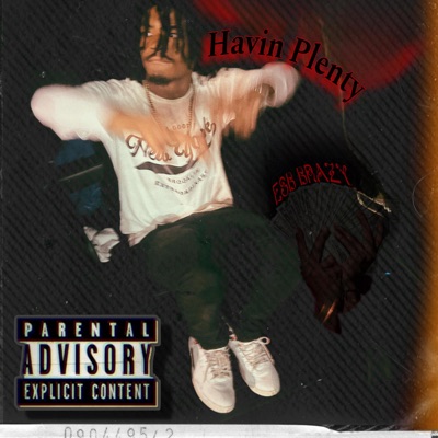 Havin Plenty - Single