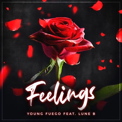 Feelings Lune B - Single