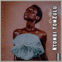 Ntombi Yomzulu (feat. Drably, Tidbiit & Trinity) - Single - Cee-Mash