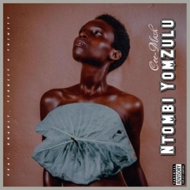Ntombi Yomzulu (feat. Drably, Tidbiit & Trinity) Cee-Mash