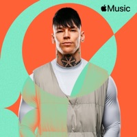 Someone Like You (Новогодняя версия) - Single - NILETTO