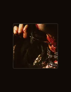 Maliceを聴いたり、ミュージックビデオを鑑賞したり、経歴やツアー日程などを確認したりしましょう！