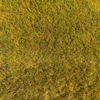 RUNAROUND - Single - nate mac