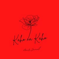 Kaho Na Kaho - Single - Amir Jamal
