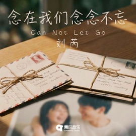 Can Not Let Go 刘芮