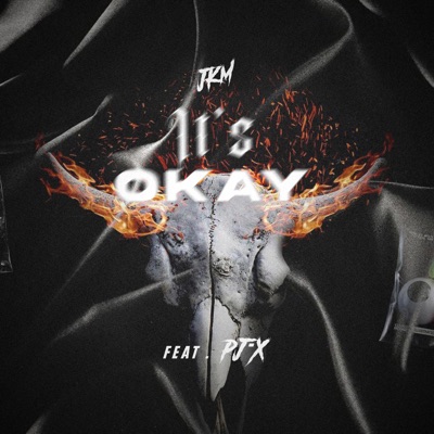 It's Okay (feat. Pj-X) [Remix] - Single
