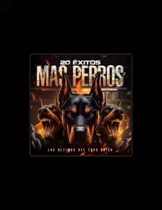 收听 los ultimos del topo chico、观看音乐视频、阅读小传、查看巡演日期等 ！