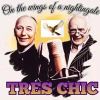 ON THE WINGS OF A NIGHTINGALE