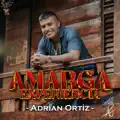 AMARGA EXPERIENCIA