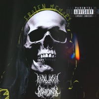 Frozen Memory - WXXLER