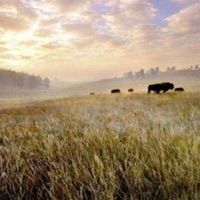 in my pants - Single - Priice