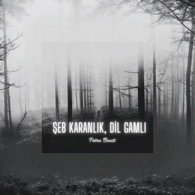 Şeb Karanlık, Dil Gamlı... (Special Piano & Clarinet Version) - Single