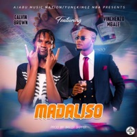 Madaliso (feat. Vinchenzo m'bale) - Single - Calvin brown cb