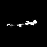 Kannanks kukkasii - Single - Jimi-Julian