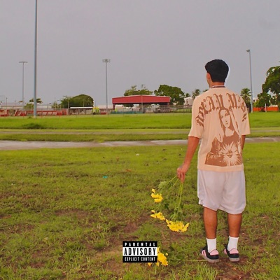 MARIO KART (feat. Soul Sound) - Single