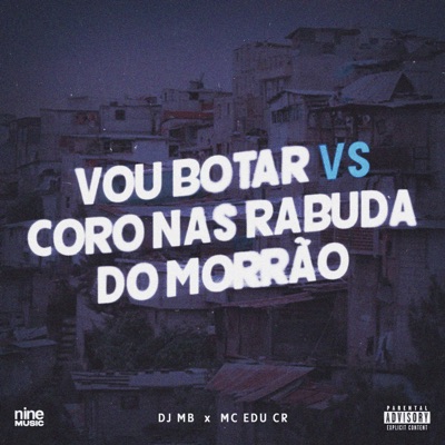 Vou Botar Vs Coro nas Rabuda do Morrão - Single