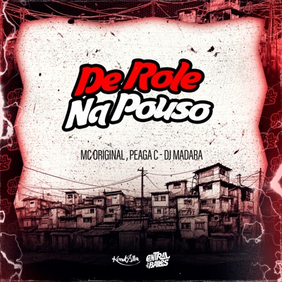 De Role Na Pouso - Single
