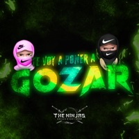 Te Voy A Poner A Gozar (feat. Griimpa) - Single - Naiky Dj