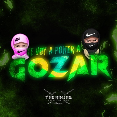 Te Voy A Poner A Gozar (feat. Griimpa) - Single