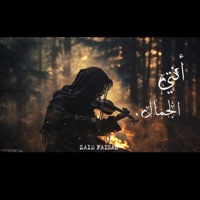 انتي الجمال - Single - زيد فيصل