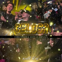 CELOSA - Single - Adan La Amenaza, Chris Willde & New Life Worry Music