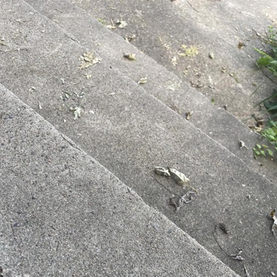 Rolling down concrete hills - Single