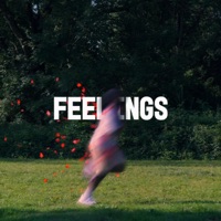 Feelings - Single - Skinto