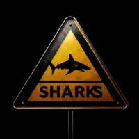 Sharks (feat. bankirkash) - Single - ФУЛИШ