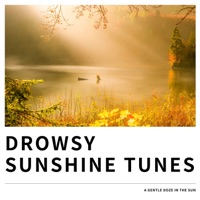 Drowsy Sunshine Tunes - A Gentle Doze in the Sun - Laid Back Academy